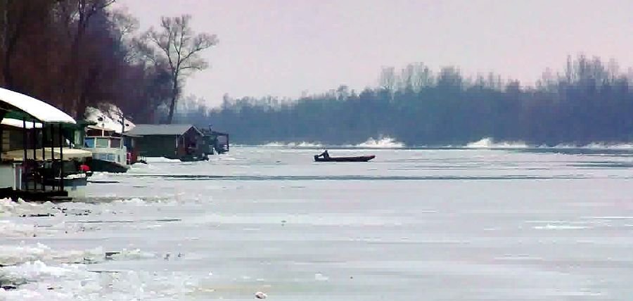 Zale�ena Sava 2012